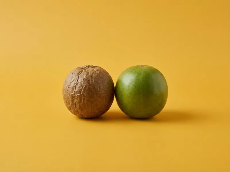Fruto del monje